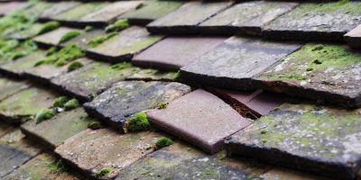 Tanglwst roof repair costs
